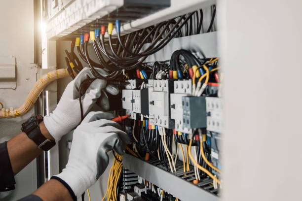 Best Electric Panel Repair  in Spring Hill, KS